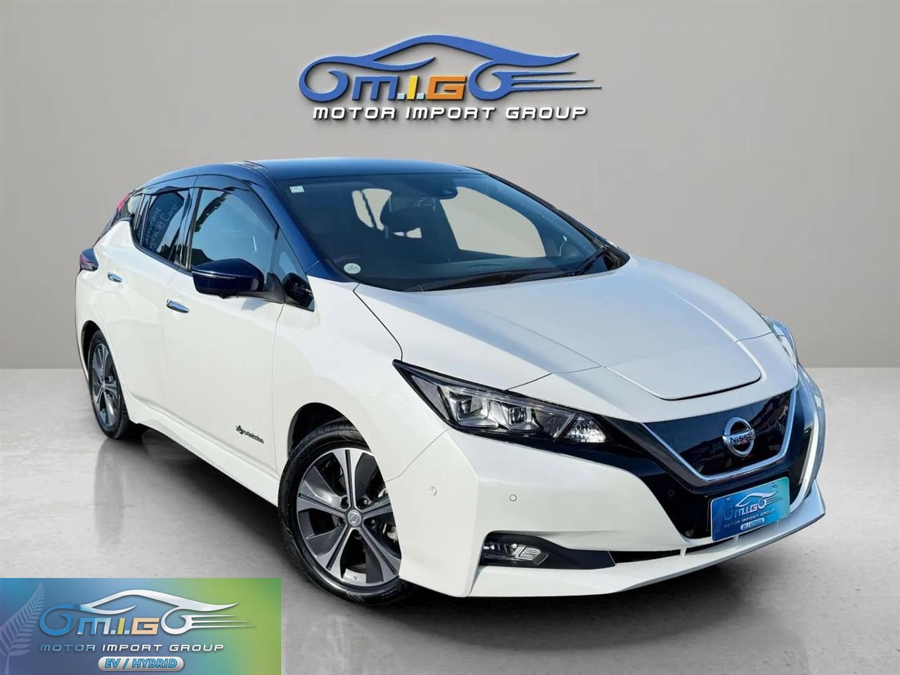 2018 Nissan Leaf